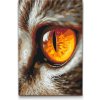 Vymalujsisam.sk Maľovanie podľa čísiel - Mačacie oko Veľkosť: 40x60cm, Rám: Na kartónovej doske