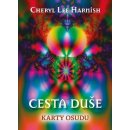 Cesta duše: Cesta duše - Kniha + 44 karet - Harnish Cheryl Lee