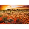 DIMEX fototapeta Austrália MS-5-0050 - 375 x 250 cm (150g VLIES - LEPIDLO ZADARMO)