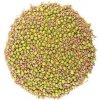 Zdravý den Zmes semien na klíčenie BIO alfalfa reďkovka mungo 200 g