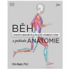Běh z pohledu anatomie - Správná technika, prevence před zraněním, nastavení tréninku - Chris Napier