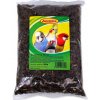 Avicentra Slnečnica čierna 0,5 kg