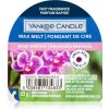 Yankee Candle Wild Orchid vosk do aromalampy 22 g