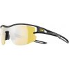 Okuliare Julbo AERO ZEBRA LIGHT tortoise grey/grey