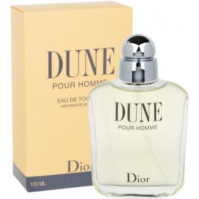 Christian Dior Dune Pour Homme 100 ml Toaletná voda pre mužov