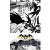 DC Comics Batman Hardcov…