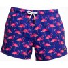 Funky Trunks Shorts Flocked Up