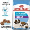 ROYAL CANIN Giant Starter Mother & Babydog 15 kg granule pre brezivé alebo dojčiace suky a šteňatá obrích plemien