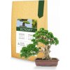 Ectovit Bonsai - mykoríza pre bonsaje - 100 g
