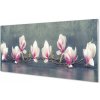 Obraz plexi Vetva magnólie 100x50 cm