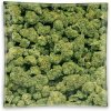 V-Syndicate Sklenený popolník Buds