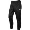 Puma teamRise Poly Training black