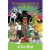 E-kniha Kouzelné pověsti našich krajů - Michal Vaněček, Renata Petříčková, Václav Ráž (ilustrátor)