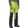Jack Wolfskin pánske lyžiarske nohavice Alpspitze 3L green/black 1115191