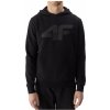 4F M WSS24TSWSM0950 20S sweatshirt 192134