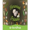 E-kniha Kamienková polievka - Zoltán Birkuš