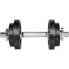 LifeFit Činka 10 kg, 4× kotúč