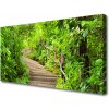 Obraz na plátne Schody príroda 100x50 cm