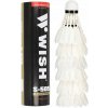 Wish S505 6 KS