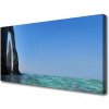 Obraz Canvas Skala more príroda 100x50 cm