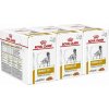 Royal Canin VHN Dog Urinary S/O Pouch in Gravy 36 x 100 g
