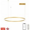 IMMAX NEO FINO NEW Smart závesné svietidlo 1 kruh, 80 cm, 60 W, zlaté, Zigbee 3.0