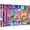 Trefl MAXI Misia šteniat Tlapková patrola/Paw patrol v krabici 40x27x6cm 24 dielov