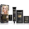 Delia Cosmetics Cameleo Omega permanentná farba na vlasy odtieň 100 De-Coloring