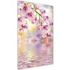 Vertikálny foto obraz sklenený Orchidea 50x100 cm