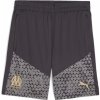 Puma | Olympique Marseille training shorts | čierna| L