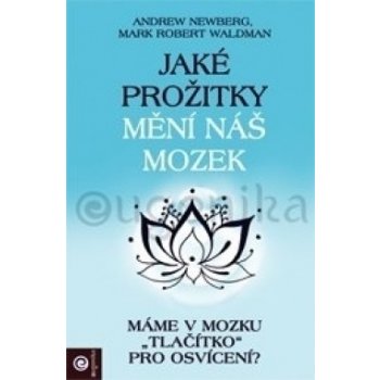 Jaké prožitky mění náš mozek a tím i náš život