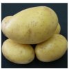 Sadbové zemiaky Princess - Solanum tuberosum - skoré - 5 kg