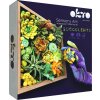 OKTO Energy Výtvarná modelovacia sada sukulenty v drevenom ráme 21x21 cm