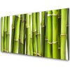 Obraz plexi Bambus rastlina príroda 100x50 cm