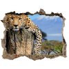Díra 3D fototapeta na stěnu Leopard na pni 95x64 cm