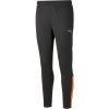 Pánske športové nohavice Puma, TEAM LIGA TRAINING PANTS čierna,modrá,oranžová L