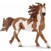 Schleich Schleich Žrebec Pinto OLP102613794