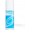 CICATRIDINA sprej 125 ml