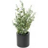 Umelý krík- Eukalyptus 50cm