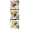 Obraz na plátne Hnedé kvety 33x105 cm