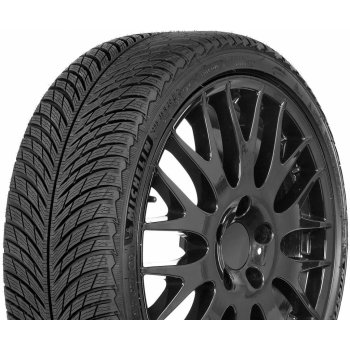 Michelin PILOT ALPIN 5 325/35 R22 114W