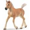 Schleich 13814 Haflinger žriebä