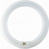 Philips G10q 22W 865 žiarivkový prst. Master Circular TL-E tl-e22w/865
