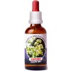 Trávníček Dračia krv - Sofora tinktúra 50 ml