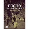 Pacho, hybský zbojník - DVD