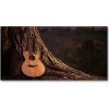 Moderný akrylový fotoobraz Akustická gitara 100x50 cm