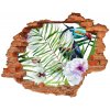 Diera 3D v stene na stenu Tukan tropika 90x70 cm