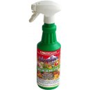 Floraservis Mospilan 20SP 500 ml