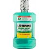 Listerine Fresh Mint Anti-bakteriell ústna voda 1l