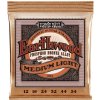 Ernie Ball 2146 Earthwood Struny pre akustickú gitaru